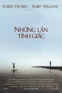 Những Lần Tỉnh Giấc